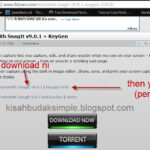 SnagIt 9.0.2 Build 9 Full Versionl ((FULL)) 🕴