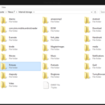 Nexus 2 Content Folder