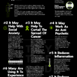 Foods High In Omega 3 Fatty Acids