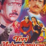 Subtitle For 2 Teri Meherbaniyan Movie HOT! Download 📦