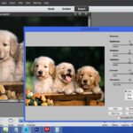 Photoshop Psd Effects Free Download ~REPACK~